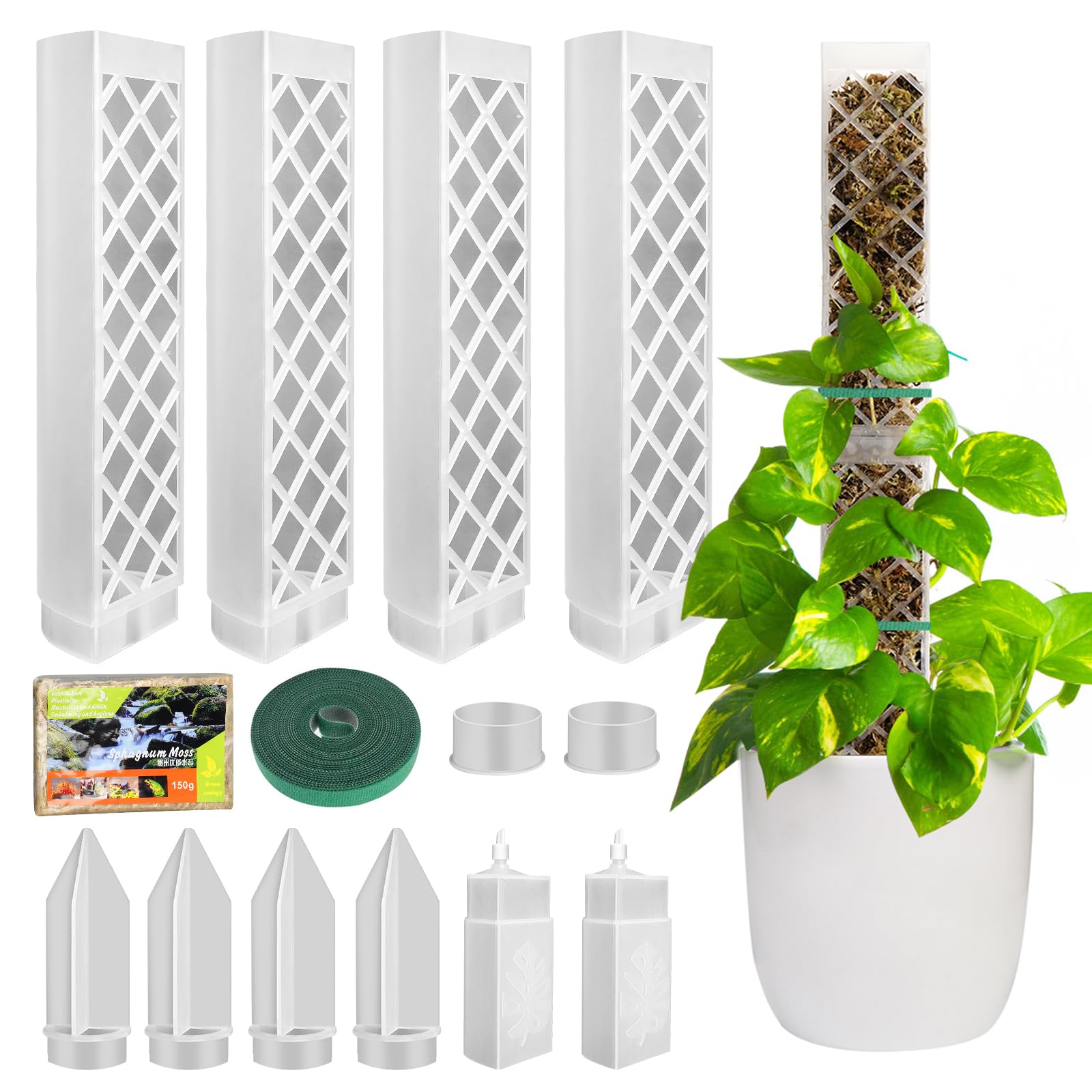 Moss Pole di Plastica, 4 Pezzi 35 cm (Palo per Piante Rampicanti + Inserimento a Terra) + 150 g Muschio, Palo di Sfagno per Piante Rampicanti da Interni ed Esterni, Sostegno per Piante
