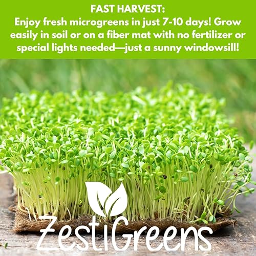 Miniatura 4 de Paquete variado de 10 semillas de microgreens: brócoli, girasol, guisante, mezcla de ensalada, rábano Daikon, col rizada, amaranto, ensalada