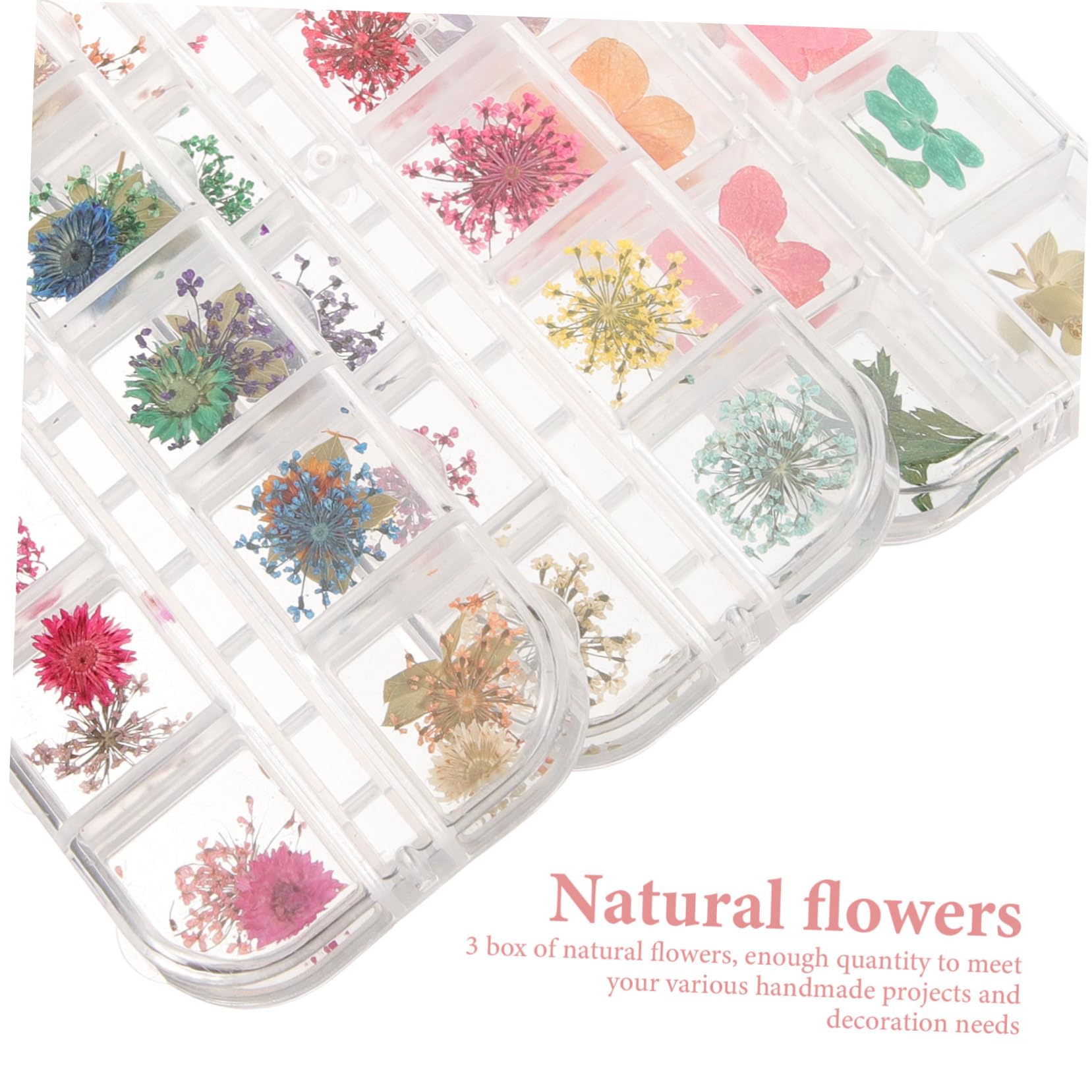 ABOOFAN 9 Cases Fleurs Séchées Remplies D'époxy Ongles De Marguerite Stickers Artisanat De Fleurs Séchées Séché Fleur Séchée Décor Floral Fleurs Séchées Naturelles