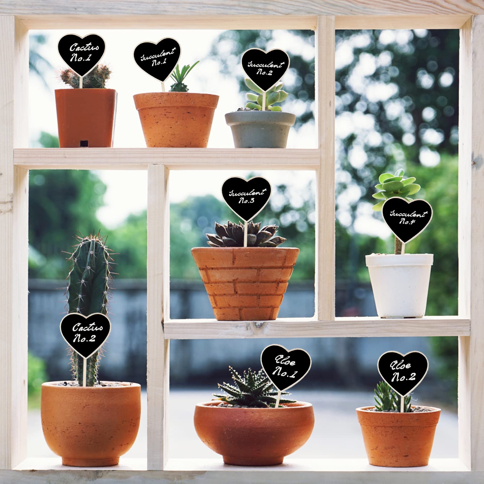 Etichette Lavagna Per Piante - 10 Pezzi In Legno Naturale - Foto 12