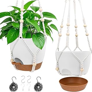 Hanging Self-Watering Hanging Planters, 2 Pack