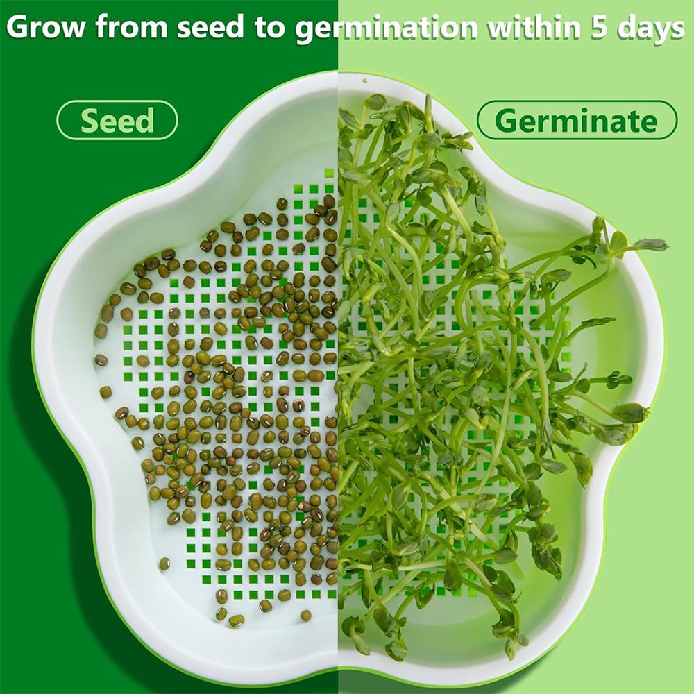 KAWAAN 4 Pièces Kit de Germination de Graines,Kit de Culture de germes de Haricots, Plateau de Germination de Graines, Germoir pour Graines à Germer, Germoir avec Couvercle, Bac à Semis pour Haricots