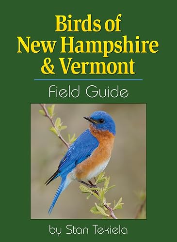 Birds of New Hampshire &amp; Vermont Field Guide (Bird Identification Guides)