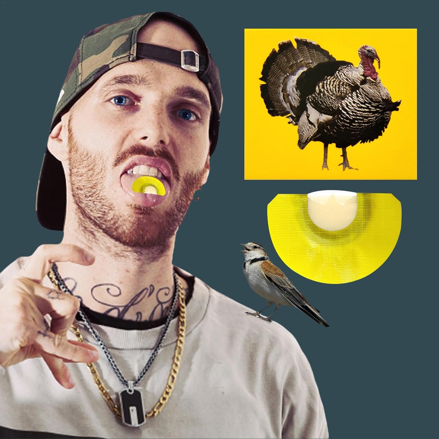 Bird - Bird Caller | Turkey Bird | Caller Tongue | Bird Toys | Creation Props | Bird Whistles To Attract Birds | Tweeting Noisemaker | Novelty Toys & Amusement