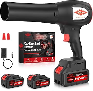 Leaf Blower Cordless with Battery and Charger