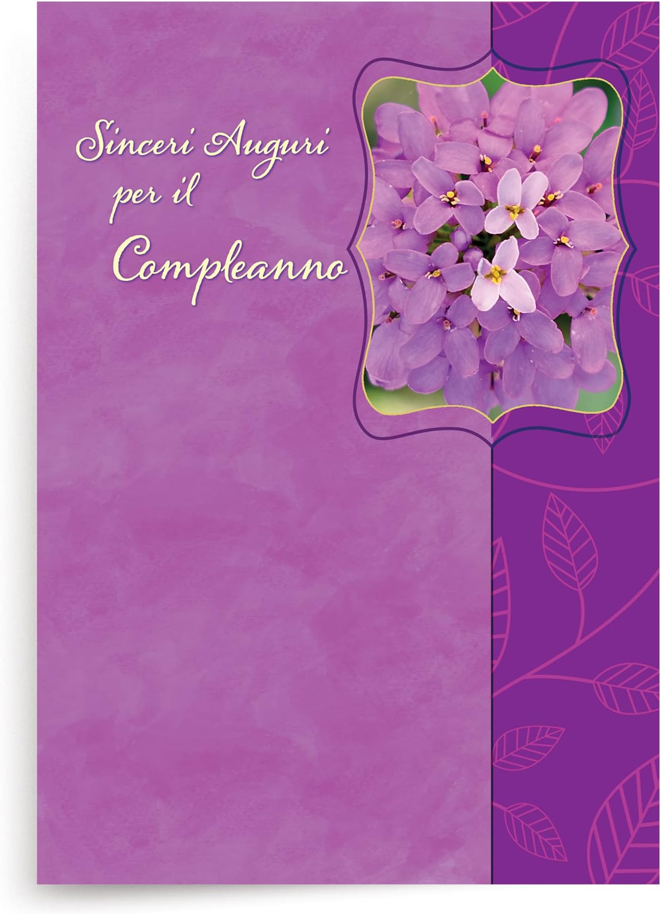 Designer Greetings Italian Language Happy Birthday Cards, “Sinceri Auguri” Purple Flower Design (Pack of 6 Cards with Purple Envelopes / 6 biglietti di auguri e buste)