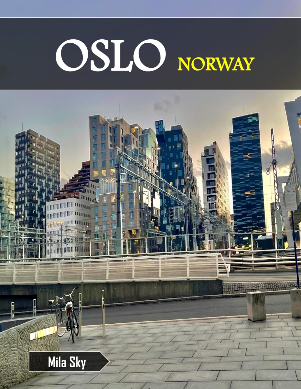 OSLO NORWAY: A Luxury Coffee Table Book of Iconic Landmarks
