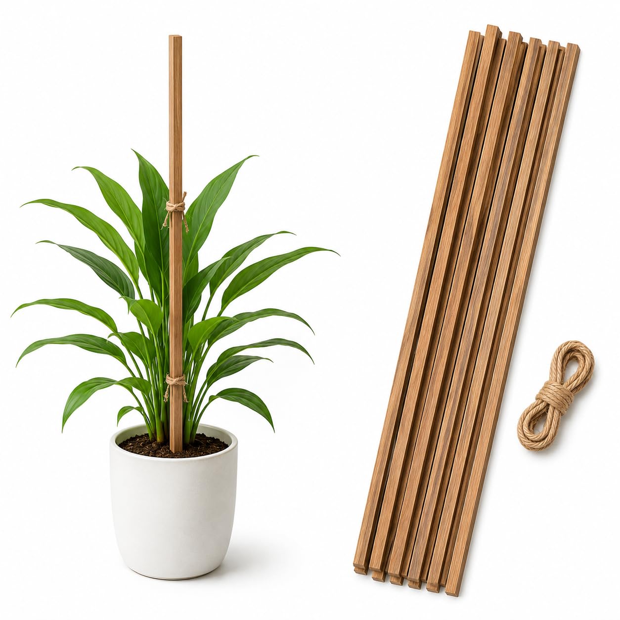 Go Garden 3 Feet Premium Natural Teak Wood Plant Support Sticks for Plants, Garden Stakes for Plant Support, Strong Durable Wooden Plant Sticks for Indoor Outdoor Gardening (12 Pieces)-image-39