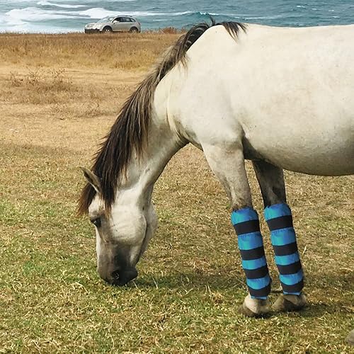 Miniatura 7 de Botas de hielo para caballo, envolturas de refrigeración para lesiones de caballos, paquete frío reutilizable para patas de caballo con correas