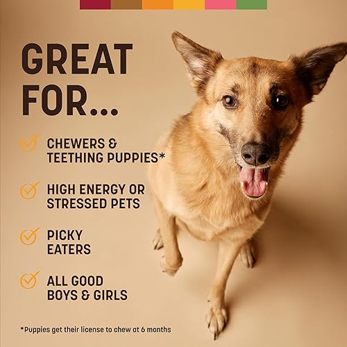 Miniatura 39 de Earth Animal No Hide - Palitos masticables para perros con sabor a mantequilla de maní medio, sin cuero crudo, de larga duración, golosinas