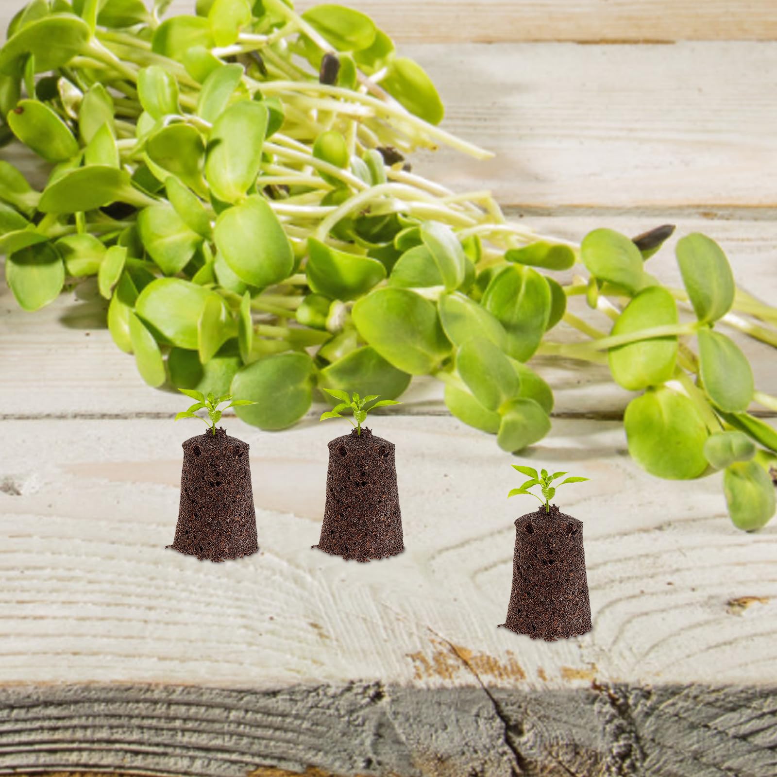 30 Blocchi di Torba di Cocco per Coltivazione Fuori Suolo Kit di Germinazione con Eccellente Ritenzione Idrica e Ossigeno Forniture per Giardinaggio Versatile Adatte a Semina e