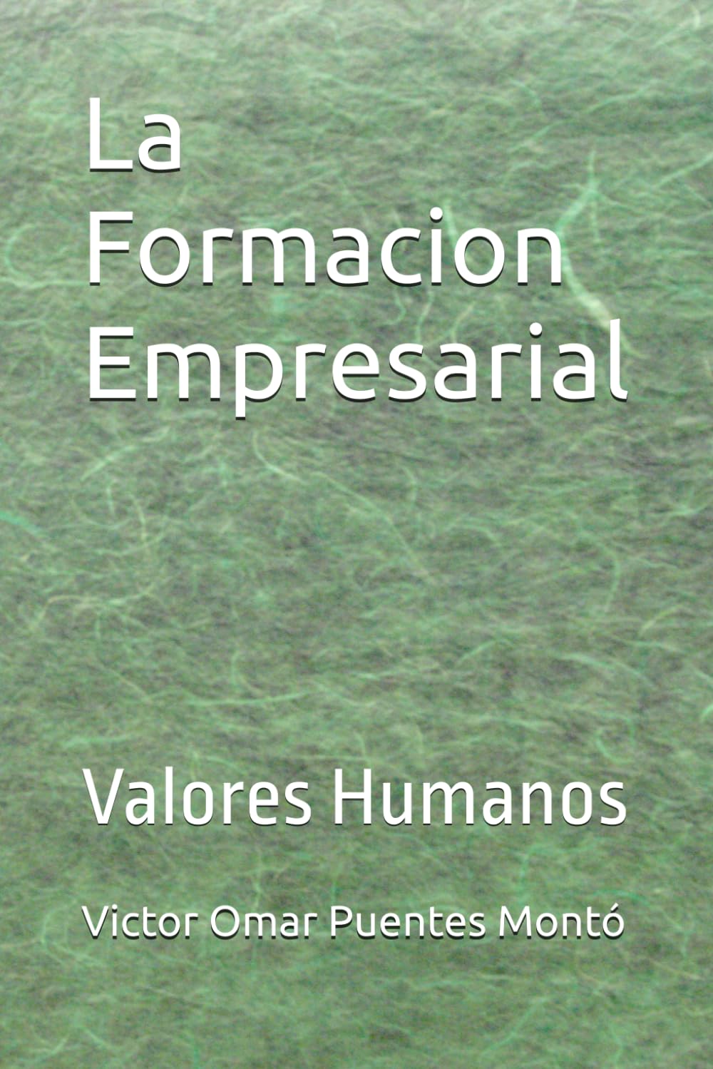La Formacion Empresarial: Valores Humanos