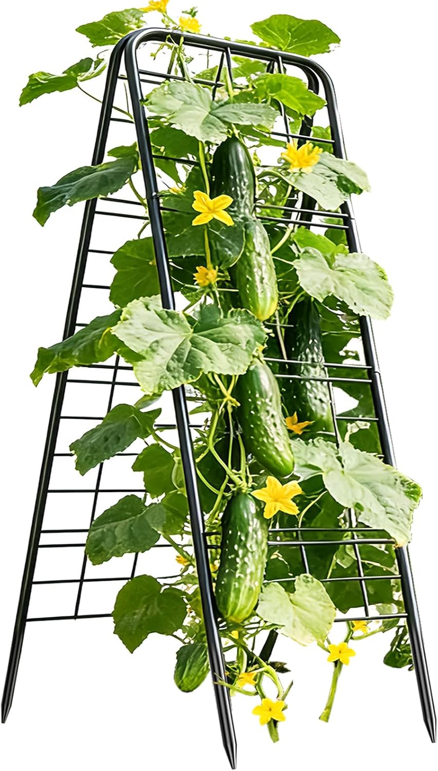 100% Metal Cucumber Trellis for Raised Bed,50"x17" A-Shape Garden Plant Support for Climbing Plants, Heavy Duty Metal Garden Trellises Plant Support for Vine Vegetables Outdoor (Black, 50"x17"(H*W))
