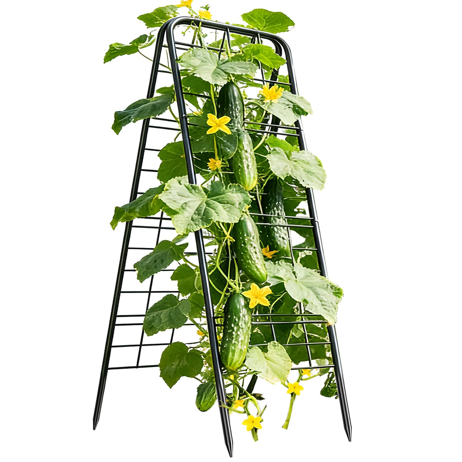 Laodier 100 Metal A-Shape Trellis