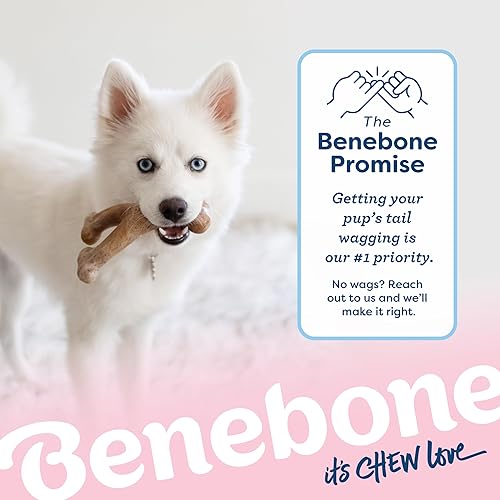 Vista 6 de Benebone Puppy Wishbone - Juguetes masticables para perros, más suaves para masticadores modestos, fabricados en Estados Unidos, mediano