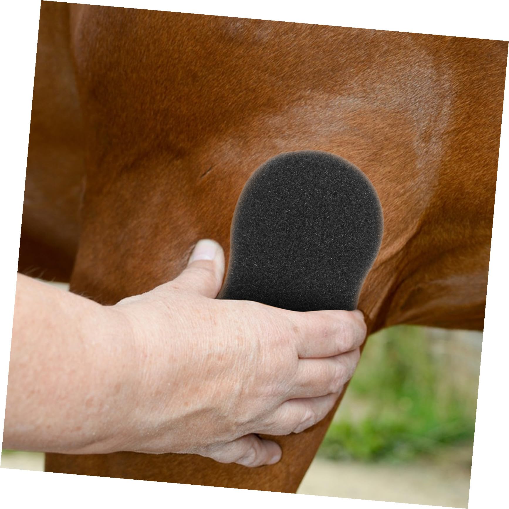 Genérico Esponjas Grandes para Limpieza Corporal de Equinos 5 Piezas 20x11 Cm, Esponjas Suaves para Cuidado y Baño de Mascotas, Herramienta Práctica para Aseo Diario de Caballos