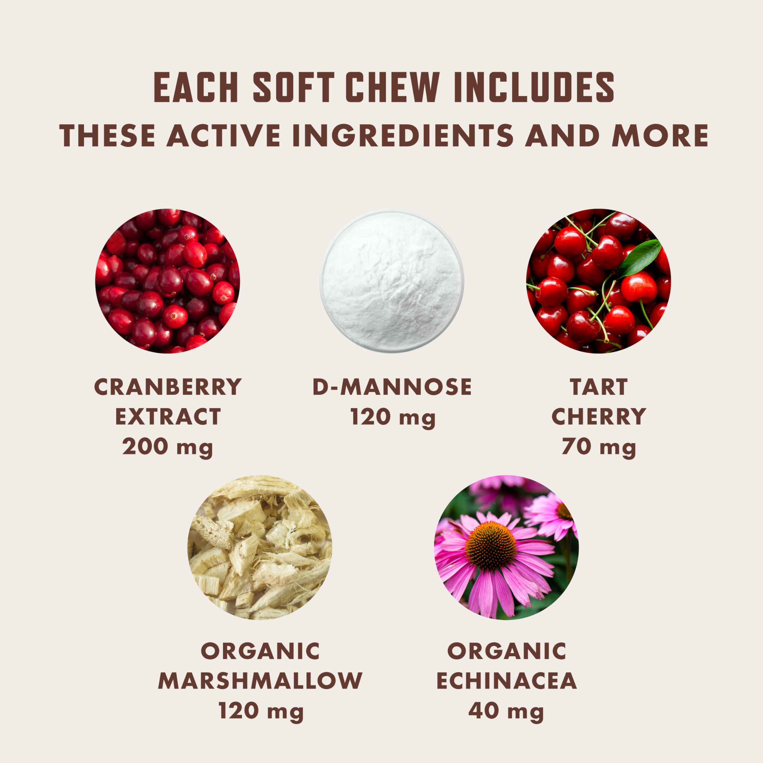 Rocco & Roxie Dog UTI Treatment, Cranberry & D-Mannose Chews, 60ct — Amazon image 4