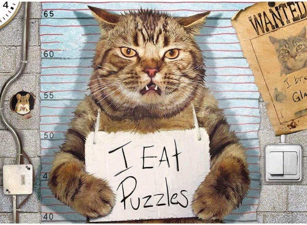 Feline Felon