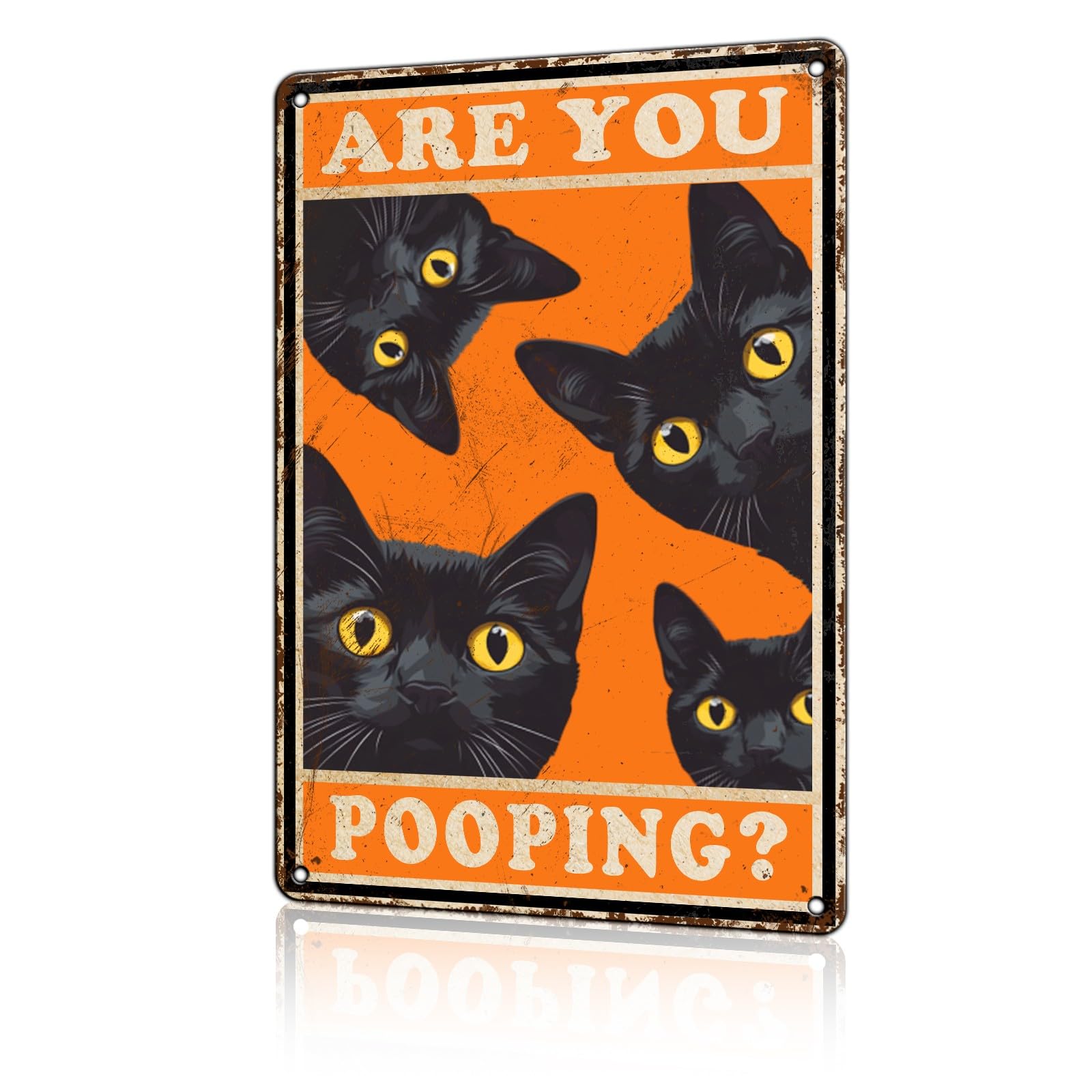 Anceky Metal Signs Are You Pooping Black Cat Sign Aluminum Tin Sign Funny Animal Sign Wall Decor for Home Farmhouse Kitchen Office Garage 12×16 Inch