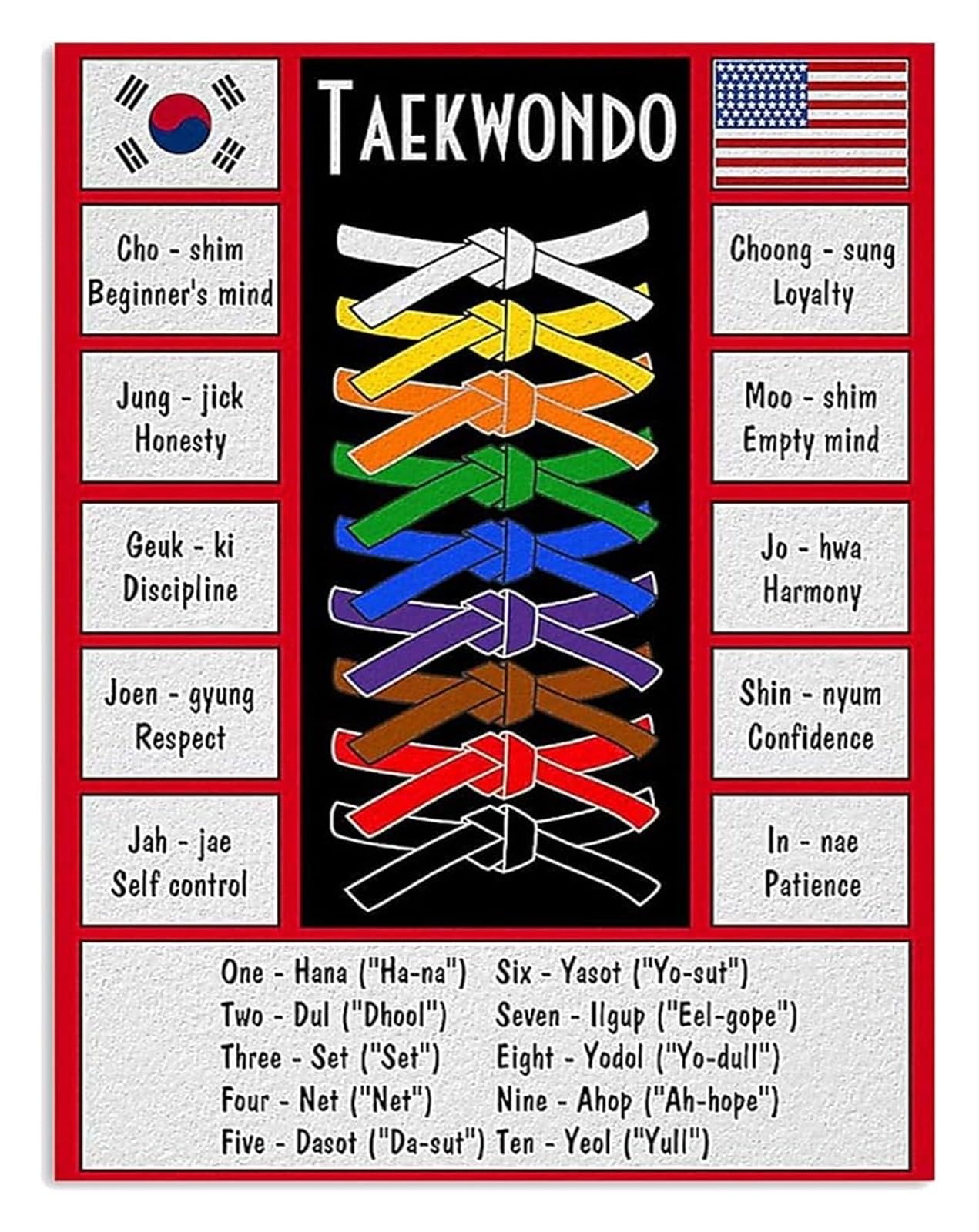 PKNVKZIDK Taekwondo Basics Educational Metal Sign Retro Training Poster Wall Decor for Martial Arts School Home Office Gift for Student Instructor 8 X 12 inch