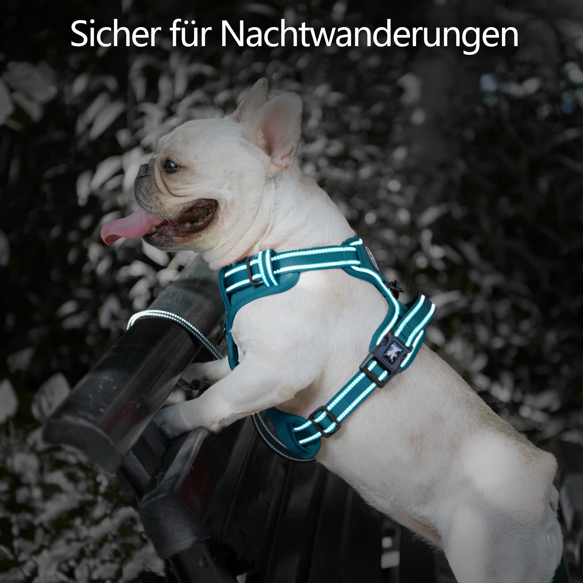 PoyPet No Pull Imbracatura riflettente per cani senza choke, gilet regolabile e morbido imbottito con impugnatura Easy Control per cani di piccola e grande taglia (Tumalo Teal,S)