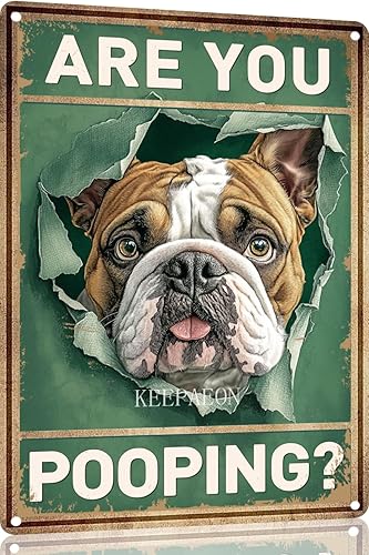 Miniatura 39 de Letrero de hojalata divertido con texto en inglés "Saint Bernard Dog Are You Pooping" para decoración de pared de baño, inodoro, 12 x 8 pulgadas