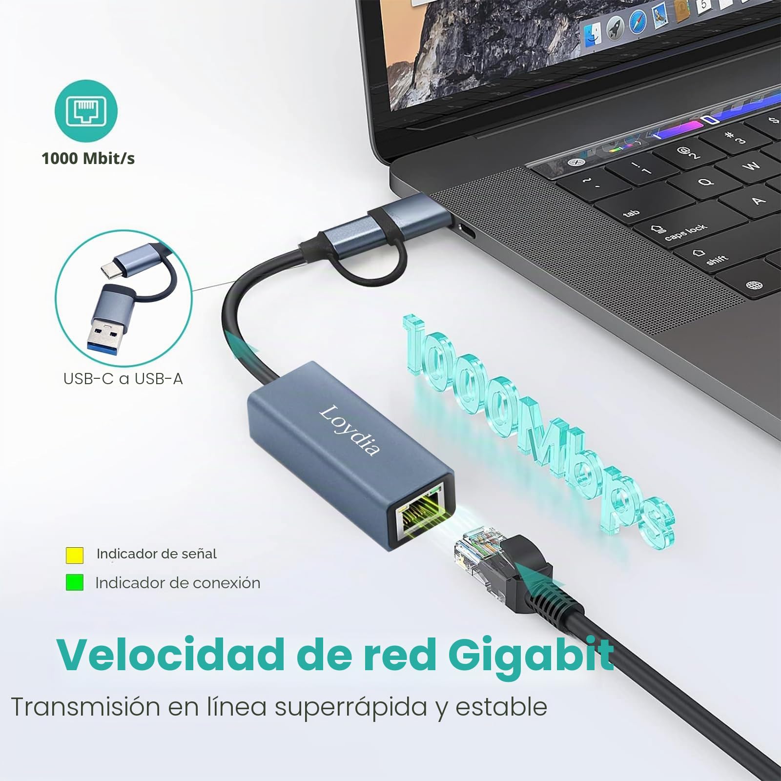Loydia Adaptador USB C a Ethernet, Type-C a Gigabit LAN Ethernet Adaptador de Red USB 3.0 a Gigabit RJ45 ethernet 1000mbps para Laptop, MacBook, Huawei, Tablet