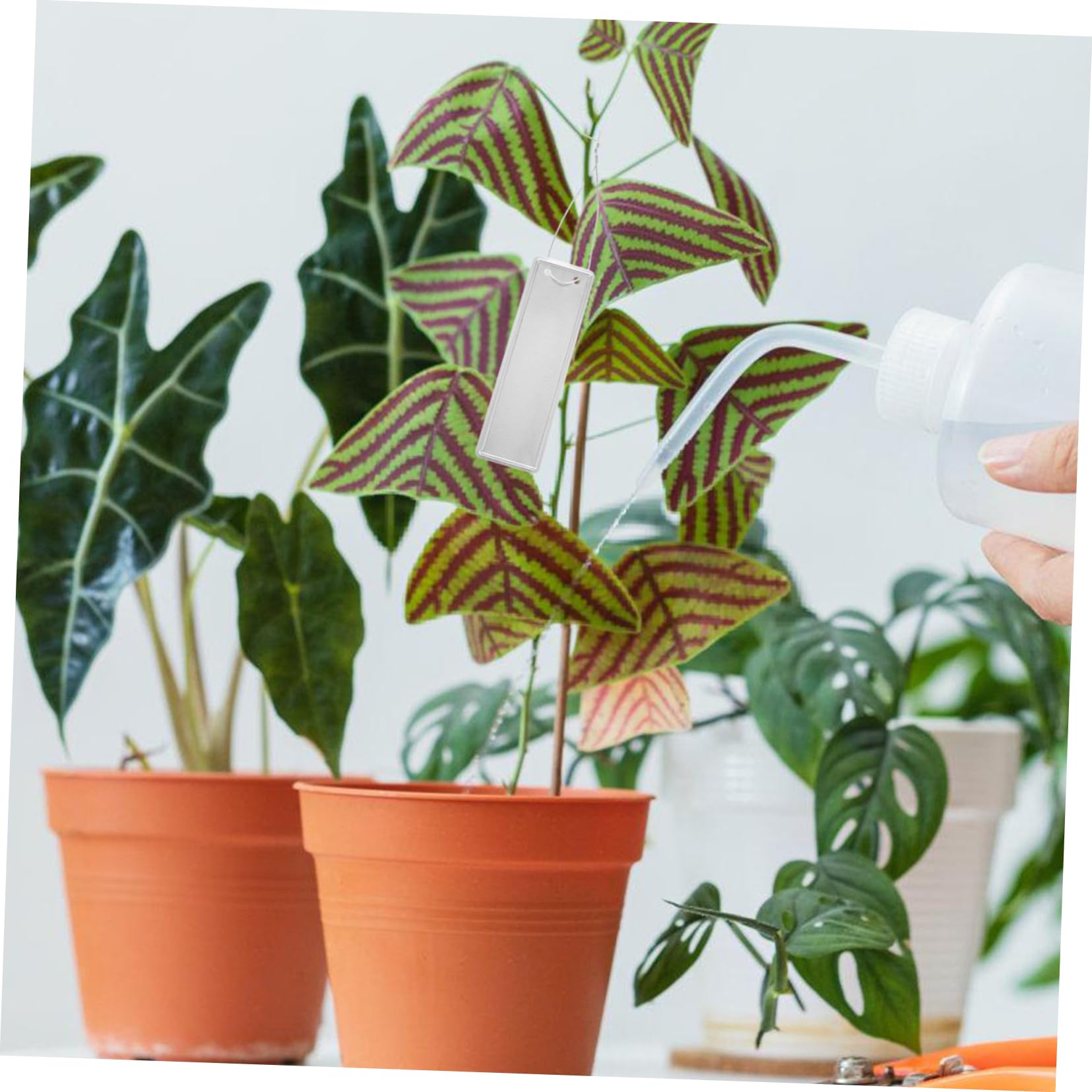 Happyyami 100stücke Aluminium Pflanzenetiketten Wetterfeste Langlebige Gartenmarker Für Innen Und Außenbereich Beschriftung Für Gewächshäuser Blumentöpfe Und Beete