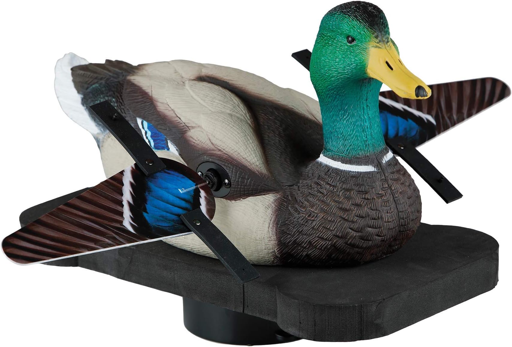 Lucky Duck Lucky Splasher