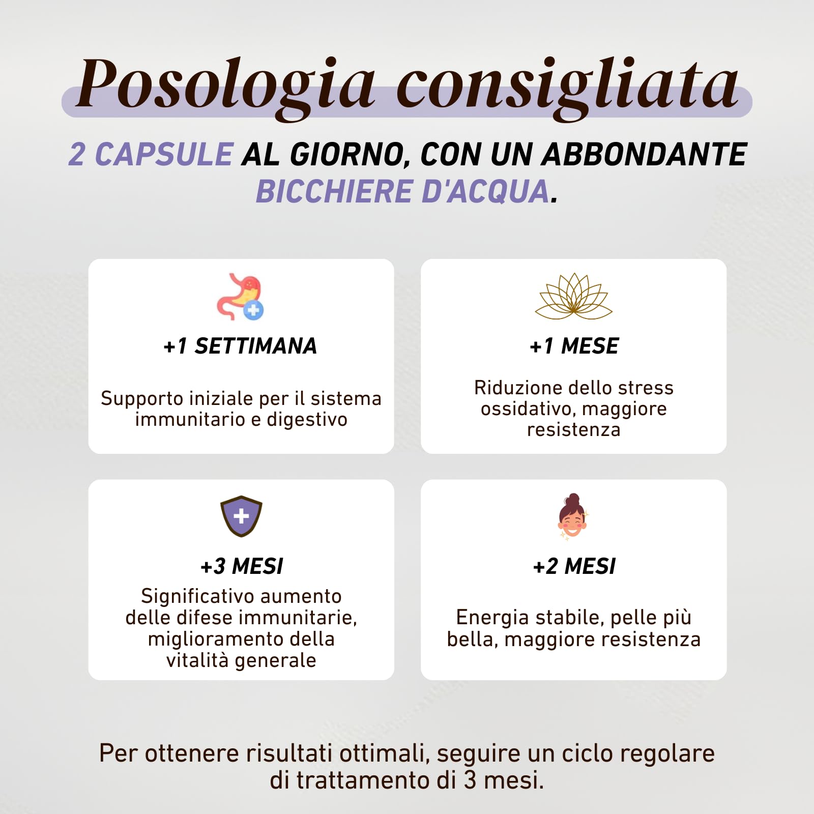 French Mush Funghi Chaga Bio Capsule 8000 mg - Superalimento Antiossidante - Complesso di Funghi Chaga Ricco di Vitamine B, D e K - Fungo Adattogeno - Testato in Laboratorio (56 capsule)