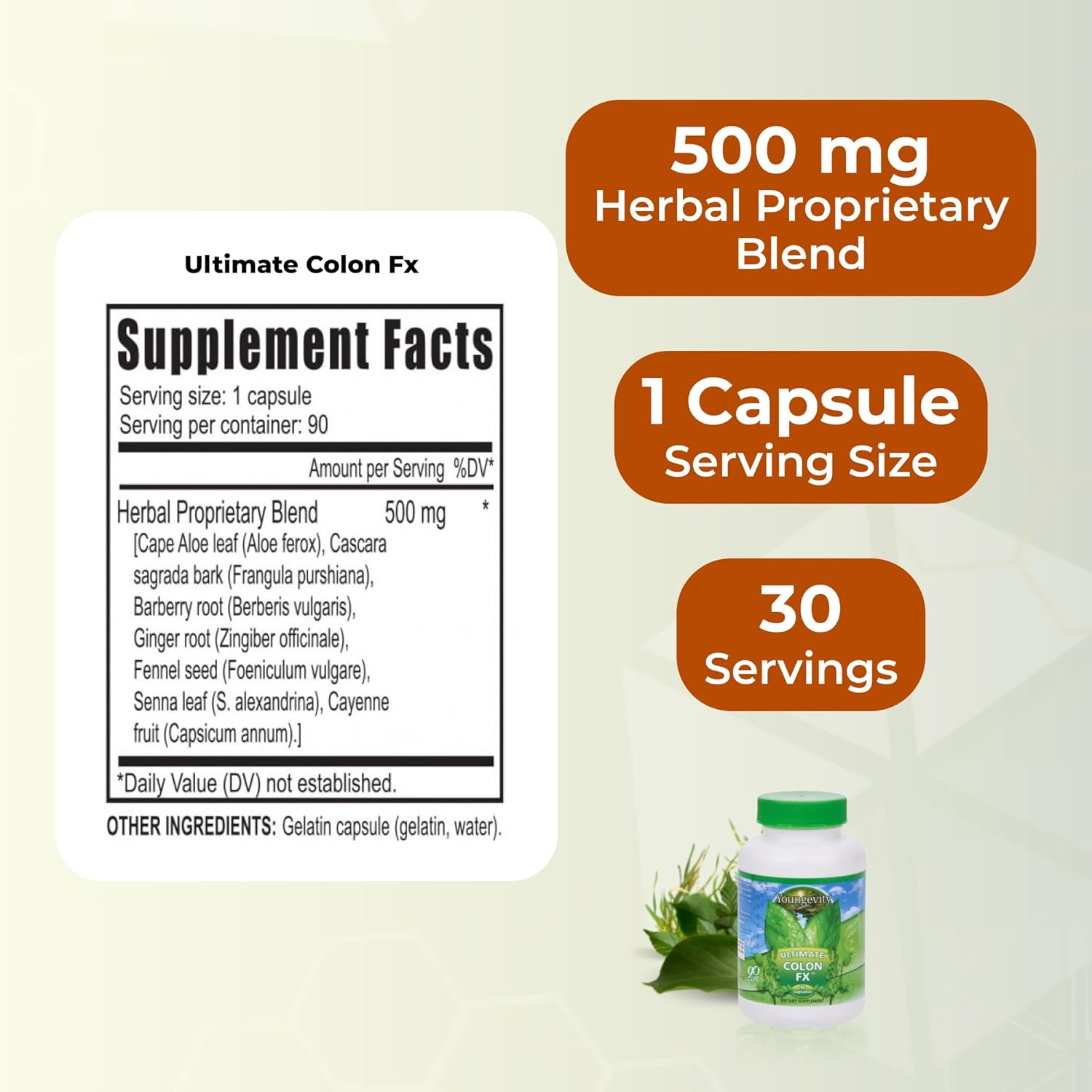Youngevity Ultimate Colon FX™ – Proprietary Herbal Blend for Natural Colon Cleansing and Digestive Health Support – 90 Capsules (Pack of 1)