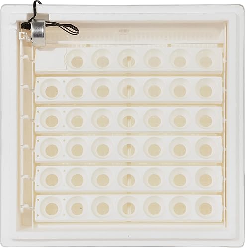 Miniatura 8 de Farm Innovators - Incubadora digital con aire circulado con girador automático de huevos, versión mejorada - Mejora 1