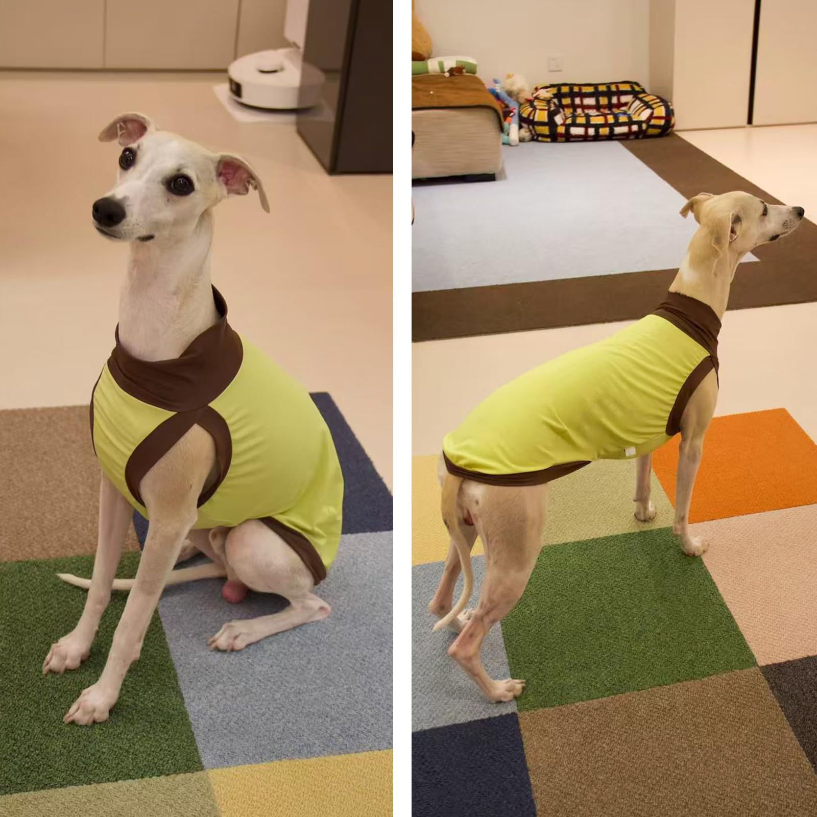 Greyhound Perro Camisa Secado rápido UPF50 + UV Camisa Verano Ligero elástico refrigeración Perro Chaleco Ropa Moda Color Bloque Whippet Camiseta para Perros pequeños y