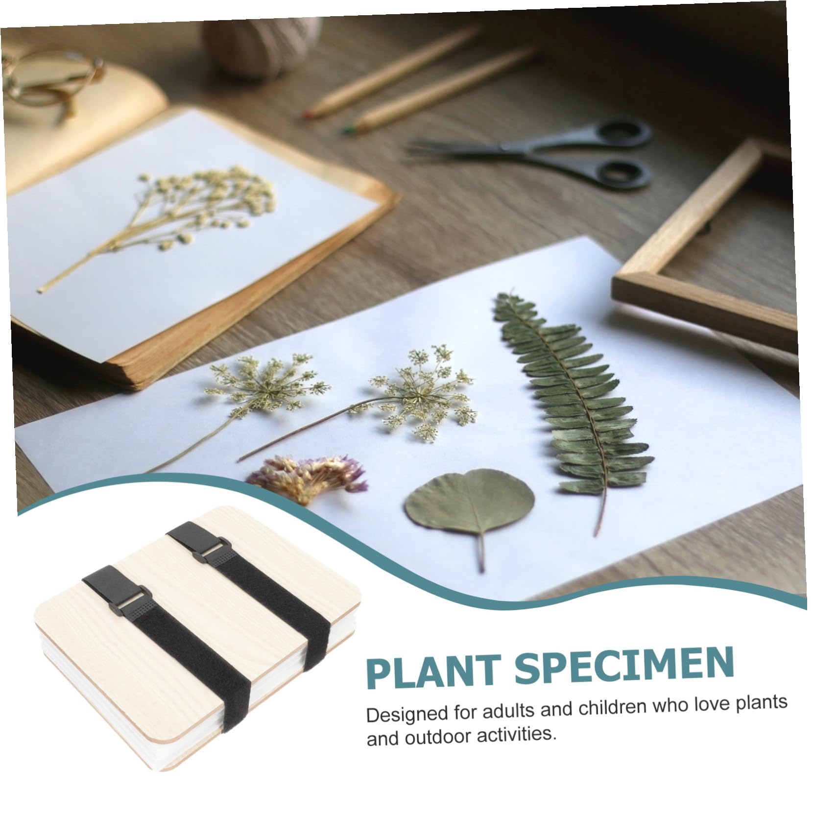 HEALSOPTHY Kit Pressa per Fiori e Foglie Strumenti per Creazione di Esemplari Vegetali Pressa Multistrato in Legno per Fiori Secchi Foglie e Frutta Adatta per Artigianato Decorazioni e