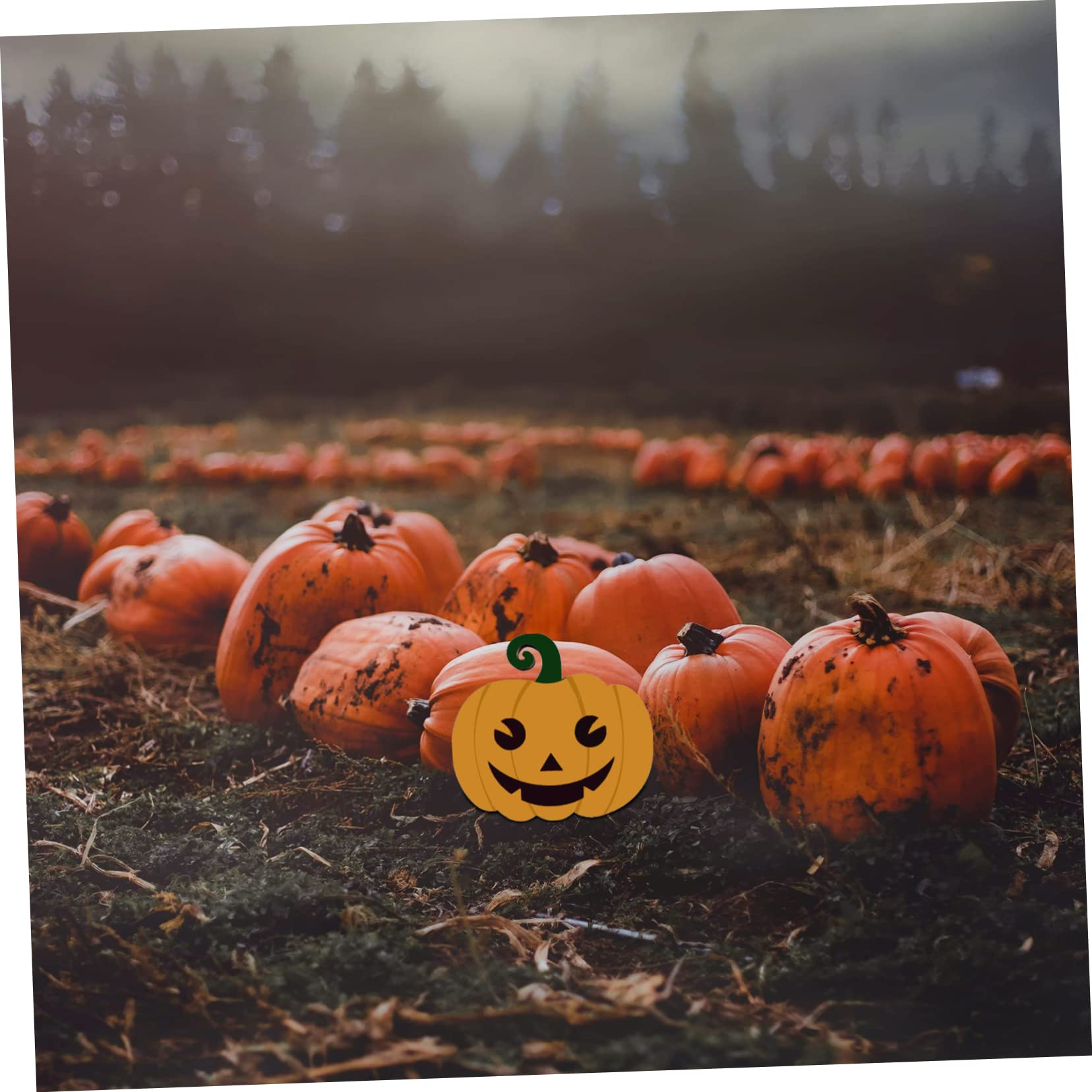 Tofficu 4 Juegos Astillas De Madera De Halloween Tablero De Calabaza Para Pintar Decoración De Calabaza De Halloween Adornos Caseros Víspera De Todos Otoño Decoración Del Hogar