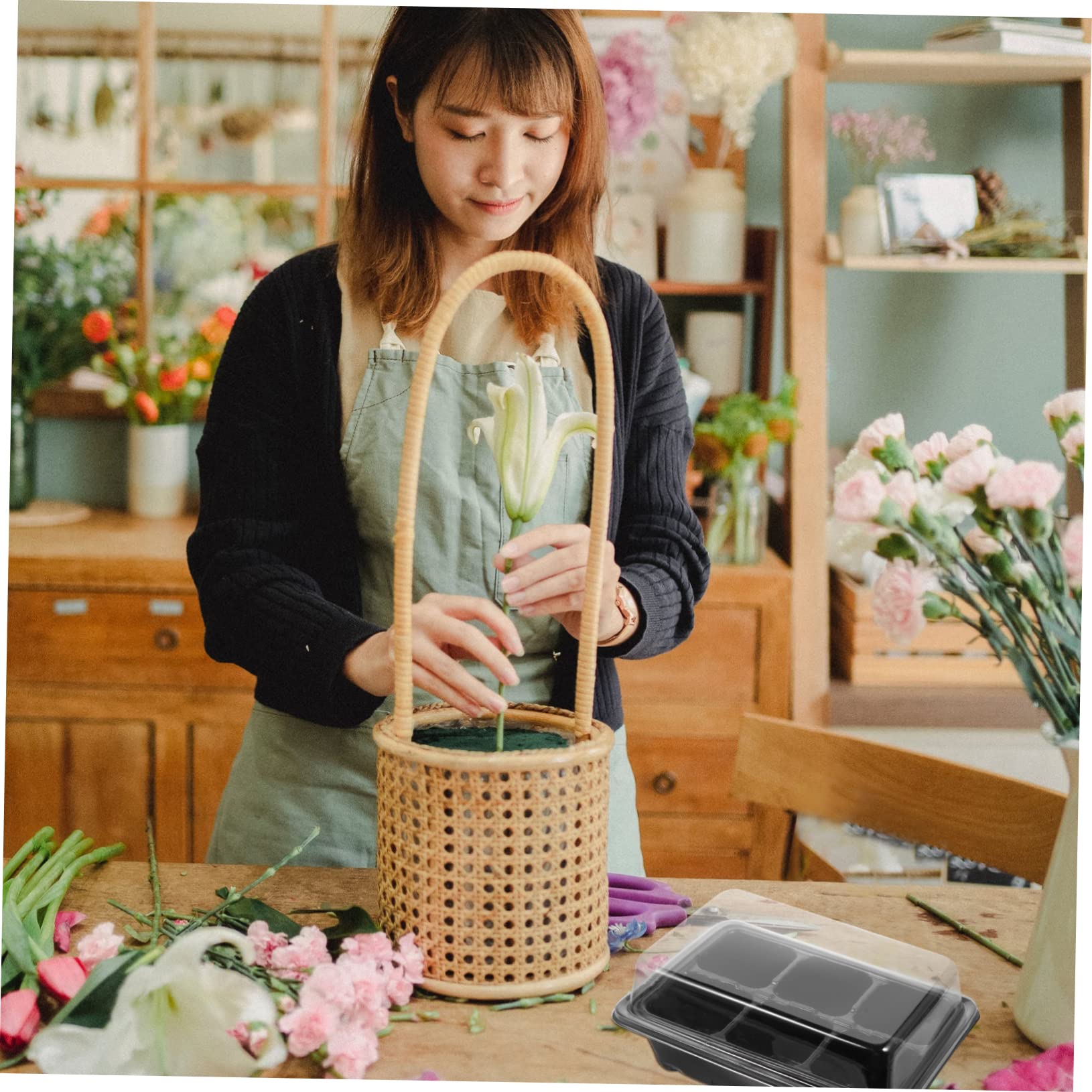 ibasenice 10sätze Schalen Garten Gewächshaus Starter Kit Zellschalen Für Setzlinge Keimschalen Mit Löchern Am Boden Transparentem Deckel Für Wärme Und Licht Zum Anbau Von Mini-grünpflanzen u