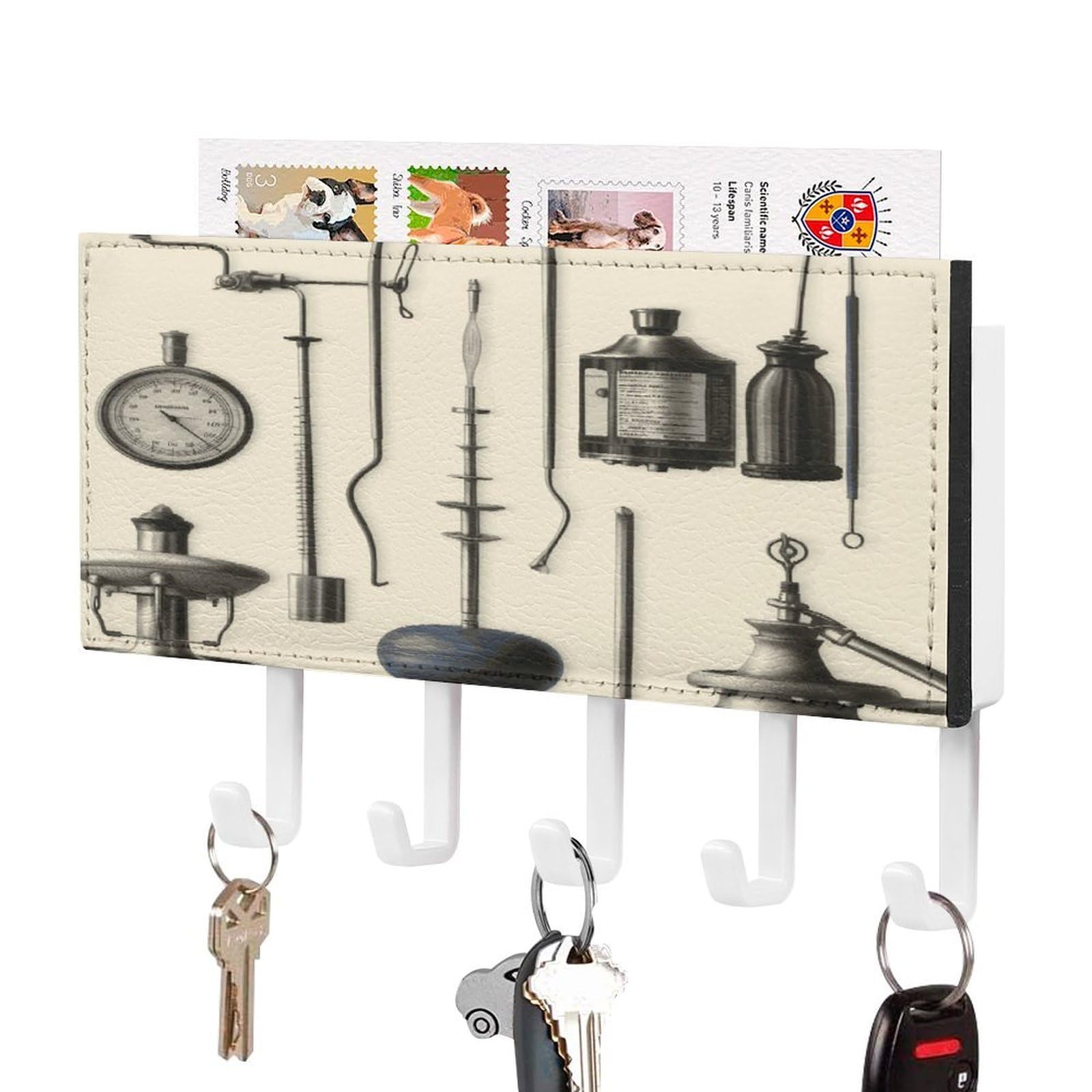 FekiLoot Medical Apparatus and Instruments Key Holder for Wall Decorative Mail Organizer with 5 Key Hook Self Adhesive Key Rack with Tray Coat Rack Wall Mount Key Hanger Decor for Entryway Door