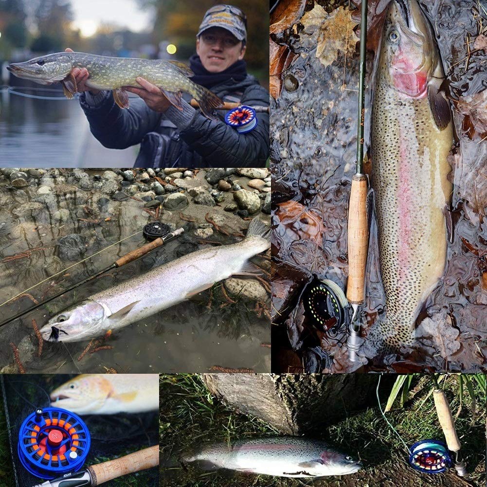 MAXIMUMCATCH Aspire Fliegenrute 40T Kohlefaser 4 Teile Fliegenfischen Rute mit eloxiertem Rollenhalter Angelrute in 5/6/8wt