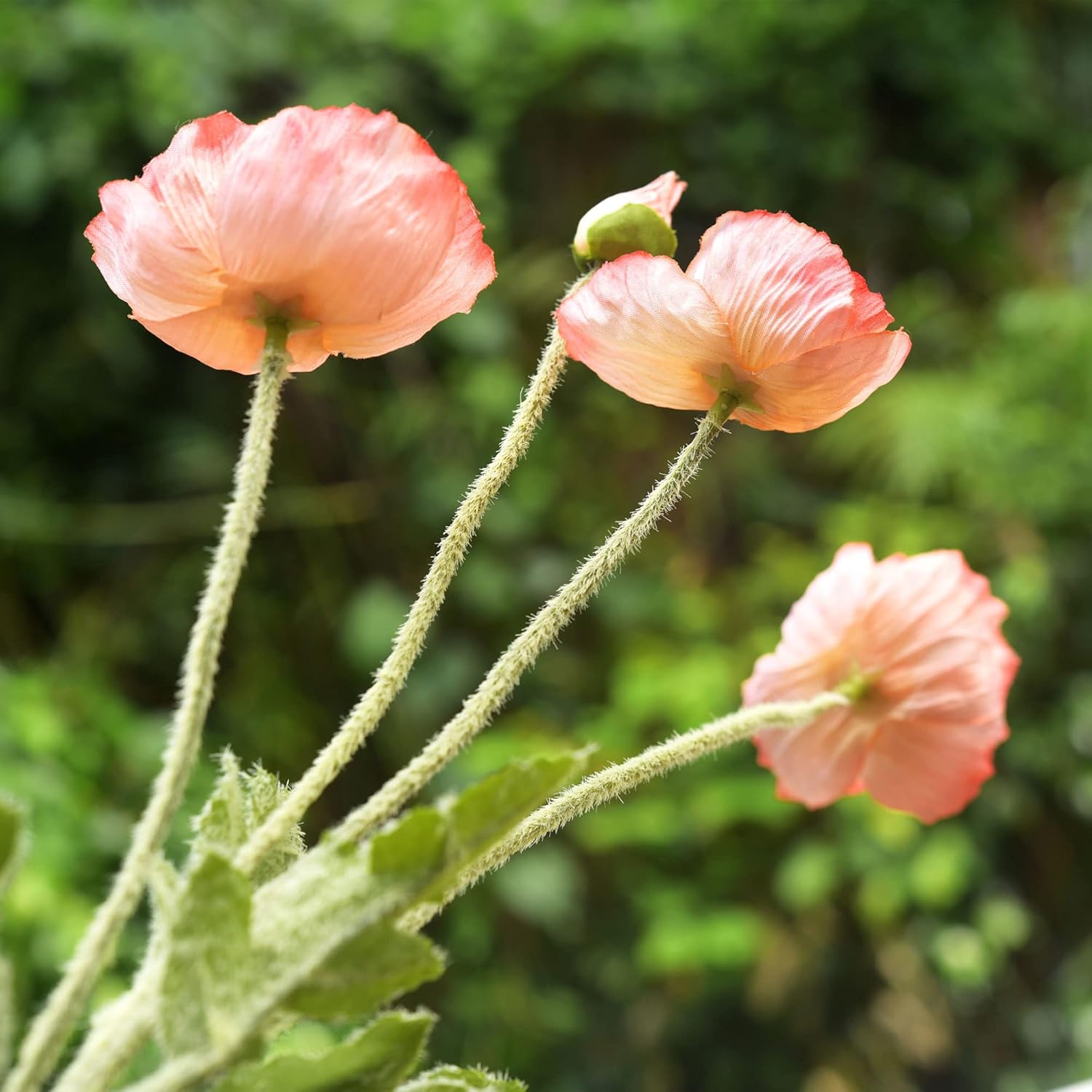 FiveSeasonStuff Silk Poppies Artificial Flower Bouquet for Remembrance Home Wedding 22” 6 Stems (Peachy Pink)