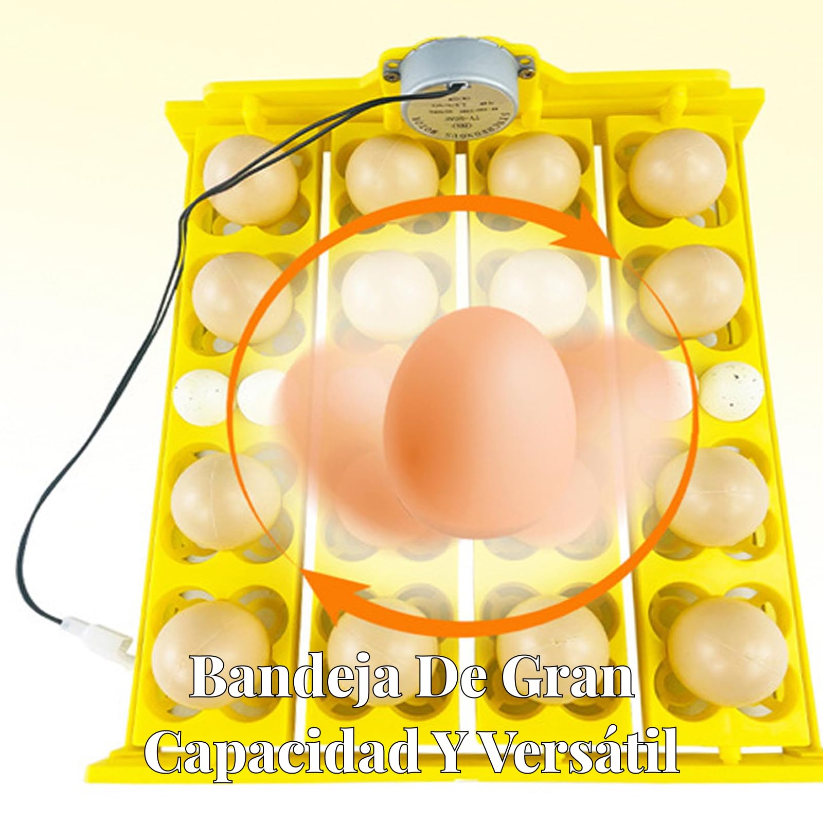 perfk Bandeja de de Huevos con Motor automático, Bandeja giratoria de Huevos, Accesorio de incubación, Bandeja de incubación de Huevos,