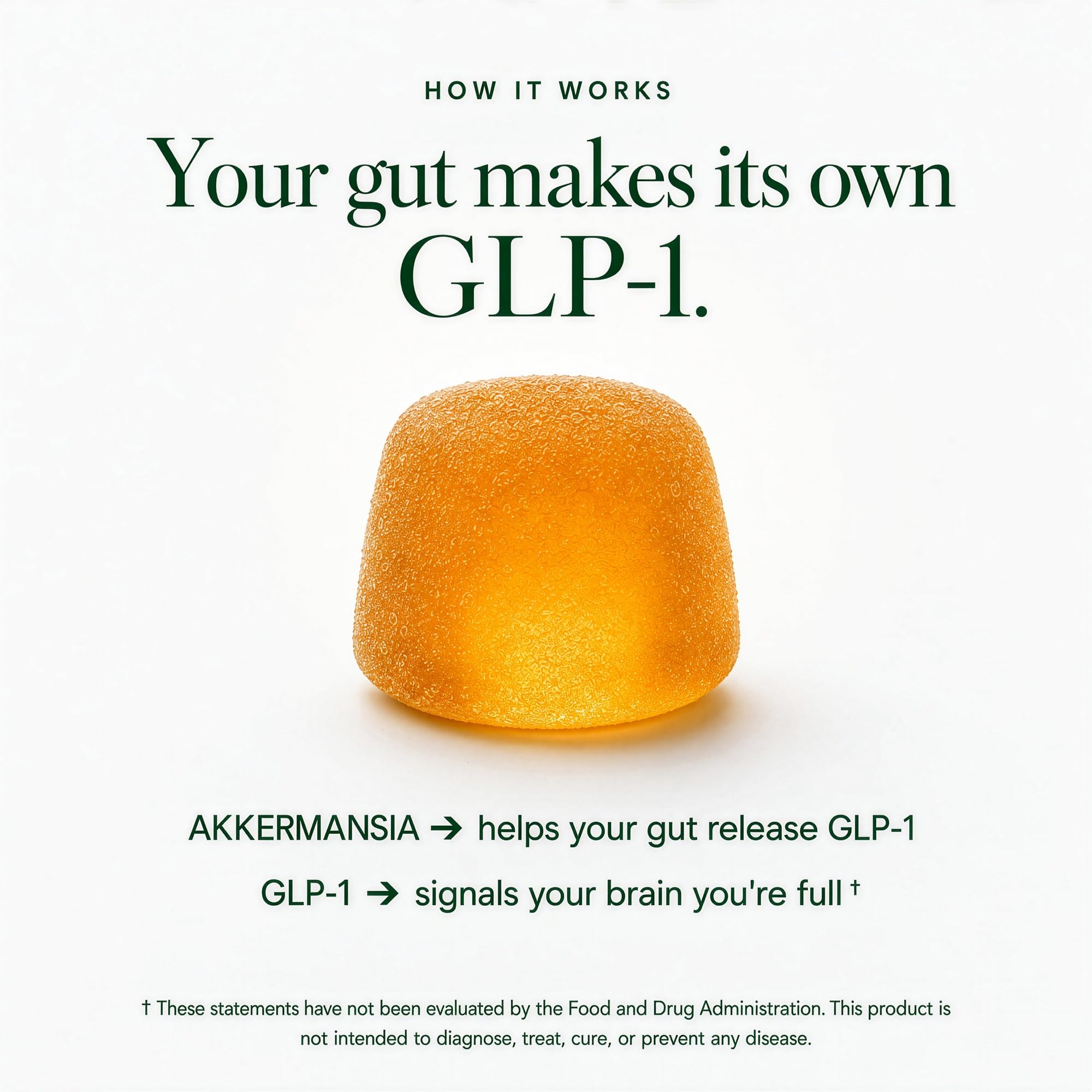 GLP-1 Weight Loss Gummies for Women & Men, 8-in-1 Akkermansia Probiotic — Amazon image 3