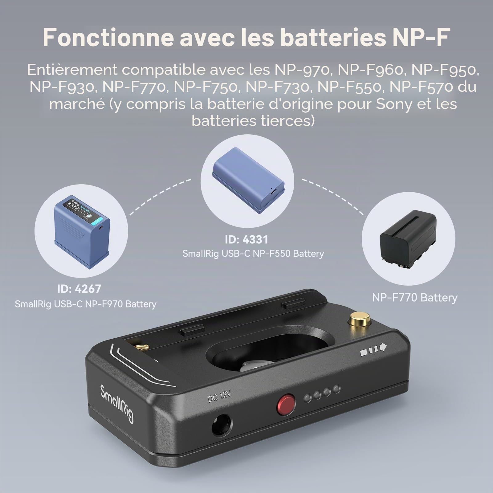 SMALLRIG Plaque de Montage d'Adaptateur de Batterie NP-F pour NP-F970/NP-F550/NP-F770, NP-F Plaque d'Adaptateur de Batterie pour Sony, pour BMPCC 4K/6K/6K Pro et pour Canon R5 C (Avancée) - 3168B