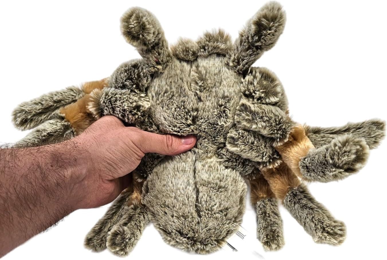 Zugar Land 8" Realistic Brown Spider Plush - Soft and Furry with Hard Eyes - Creepy-Crawly Toy for Halloween, Decor, or Gifts