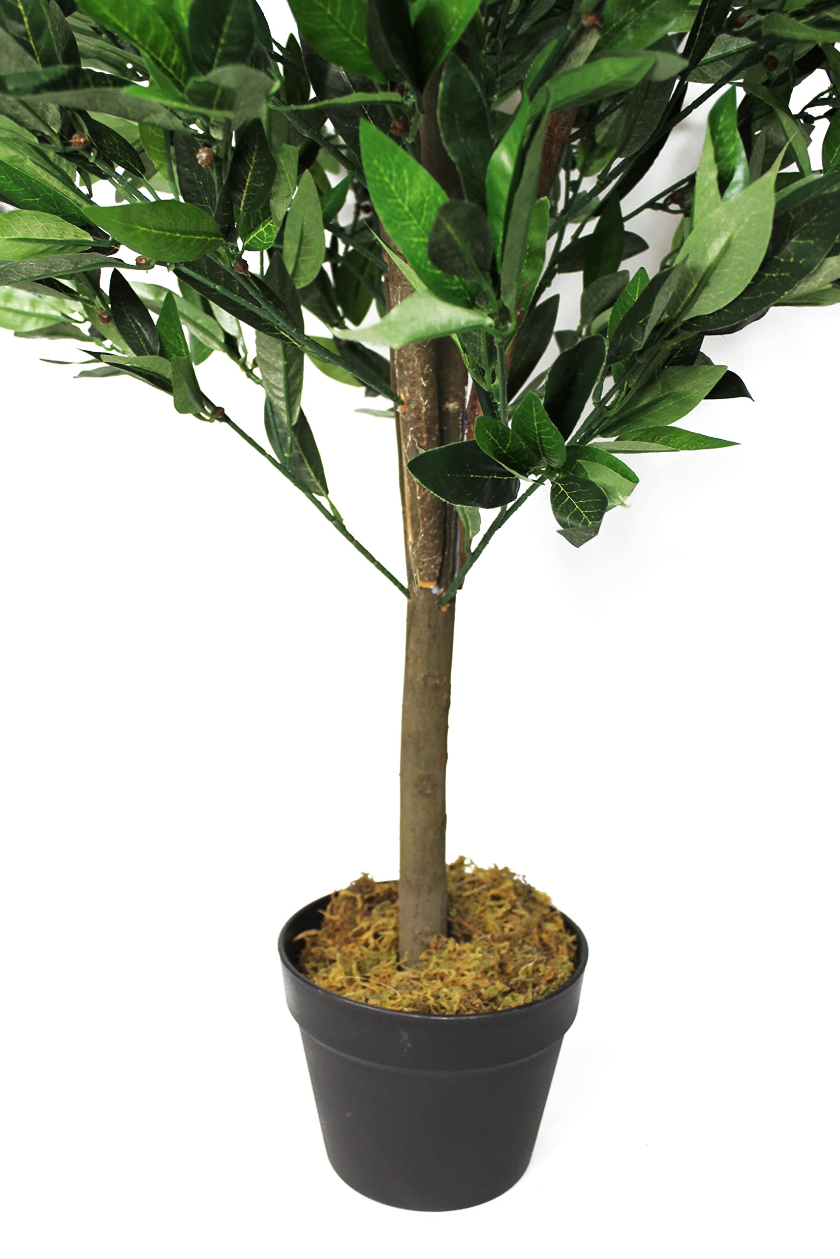 Amazon.de: Knstlicher Kirschlorbeer 120 cm mit Echtholzstamm und 1521  Bltter Kunstpflanze knstliche Pflanze wie echt Dekoration Laubbaum Hecke  Sichtschutz Kunstbaum