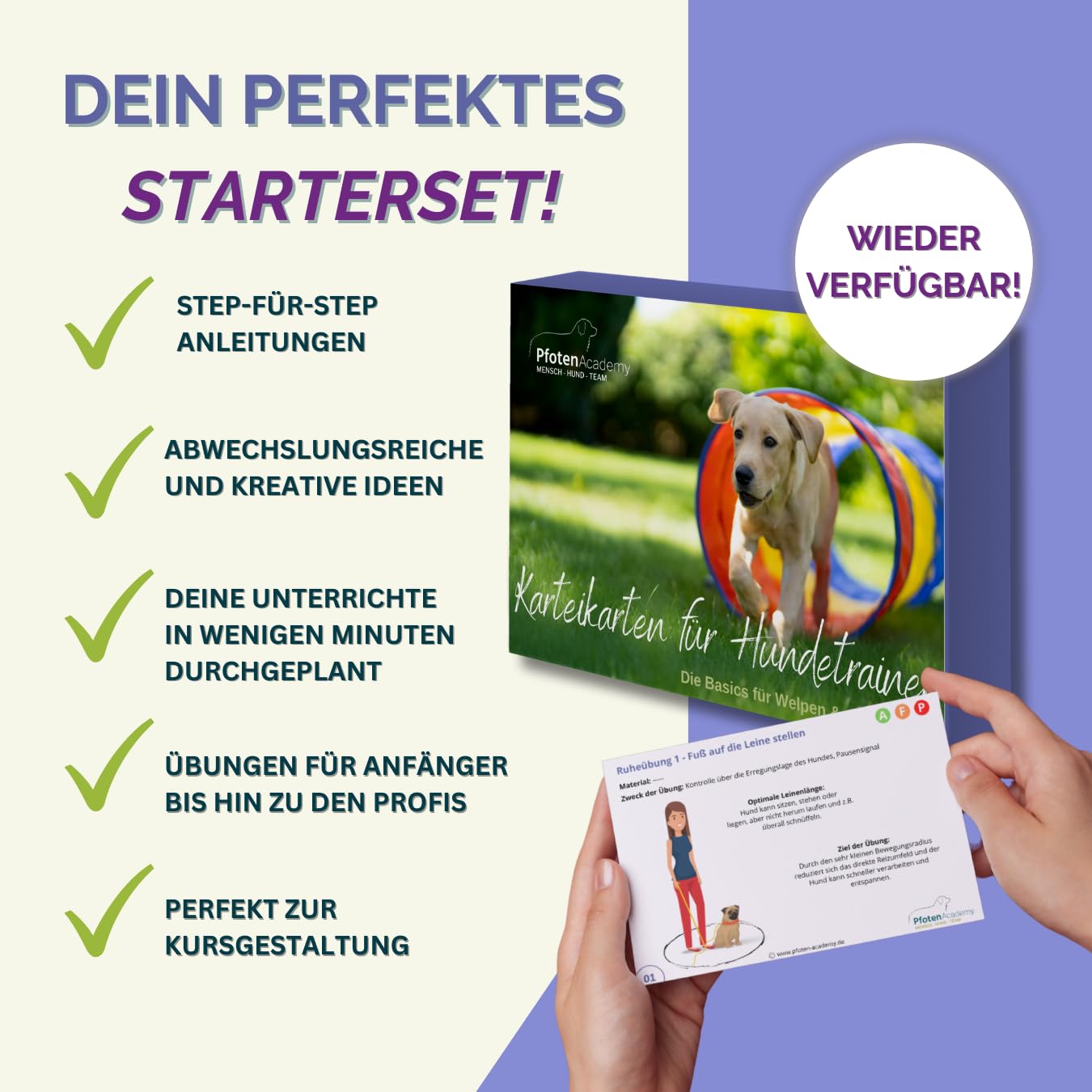 Welpen & Anfänger Übungskarten für Hundetrainer | Unterrichtskonzept | Karteikartenset für die Gestaltung von Hundeschulen Gruppenstunden & Kurse