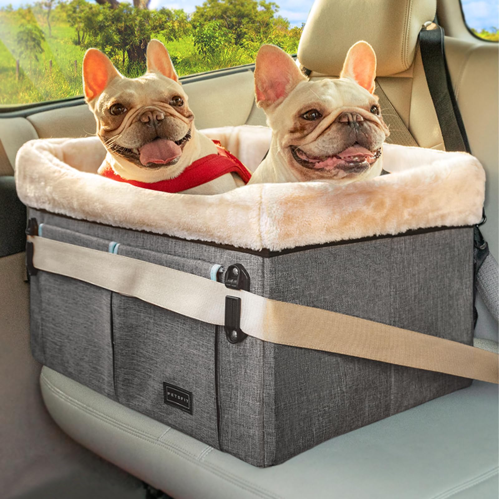 - Dog Car Seat Medium Sized Dog or 2 Small Dogs with Patent Buckles, Washable Pad, Dog Booster Car Seat for Dogs Up to 45 lbs (Medium, Light Grey)