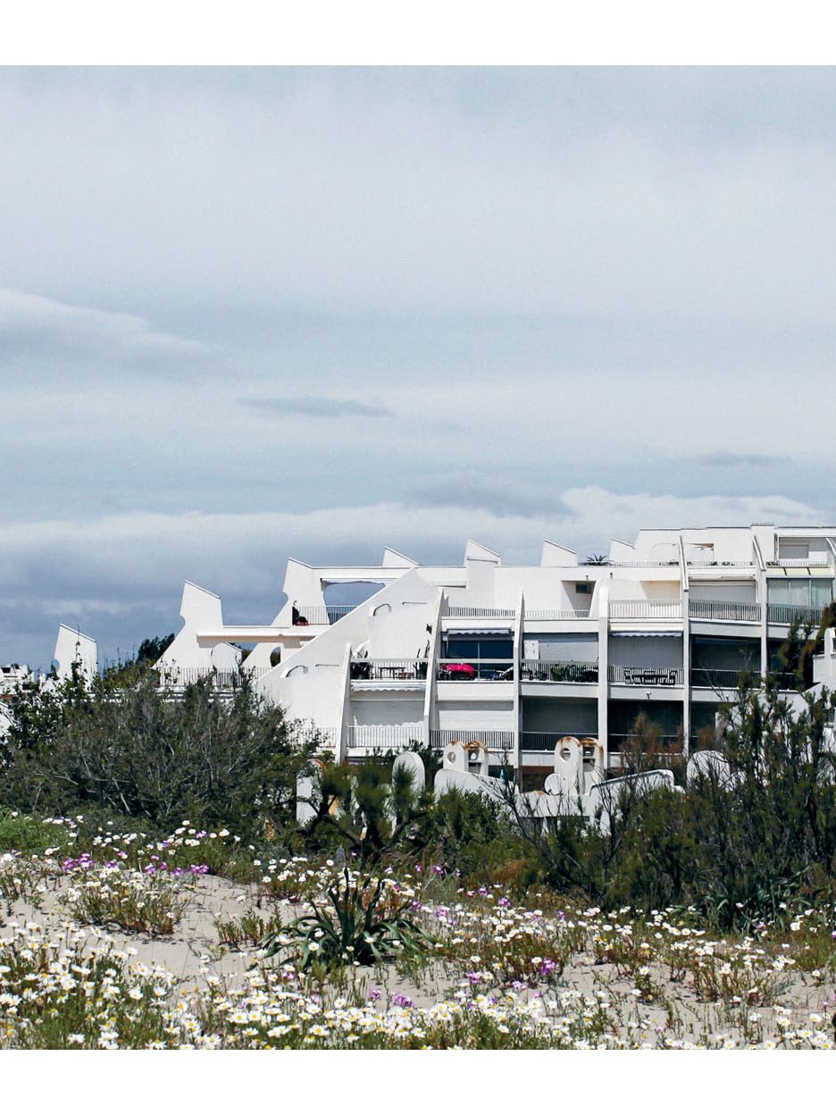 Luxury for All: Milestones in European Stepped Terrace Housing      Hardcover – October 12, 2020