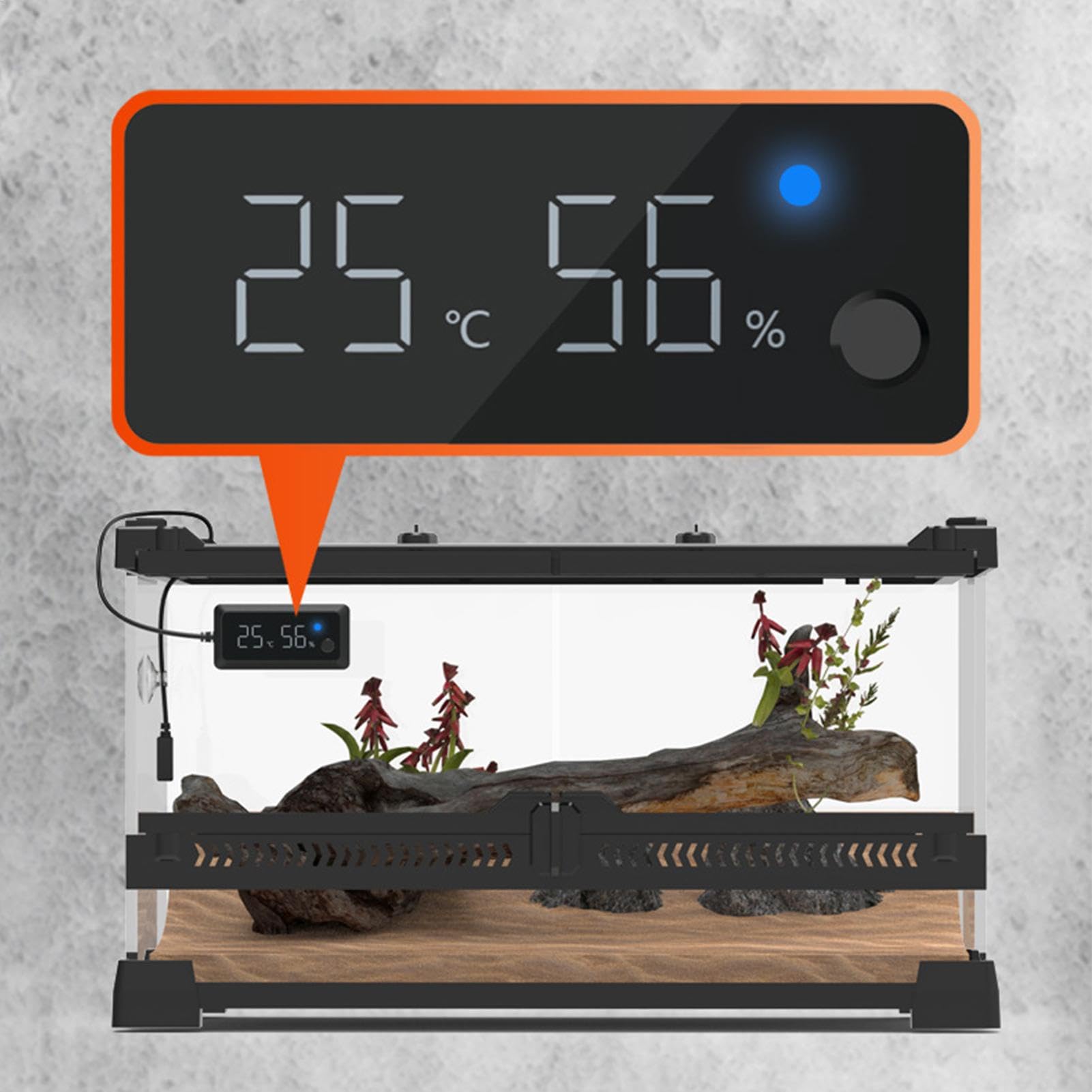 Hygromètre numérique reptile - Température et jauge d'humidité, accessoire | Hygromètre en terrarium pour gecko à crête, gecko léopard, serpent, lézard et capteur de réponse plus rapide pour