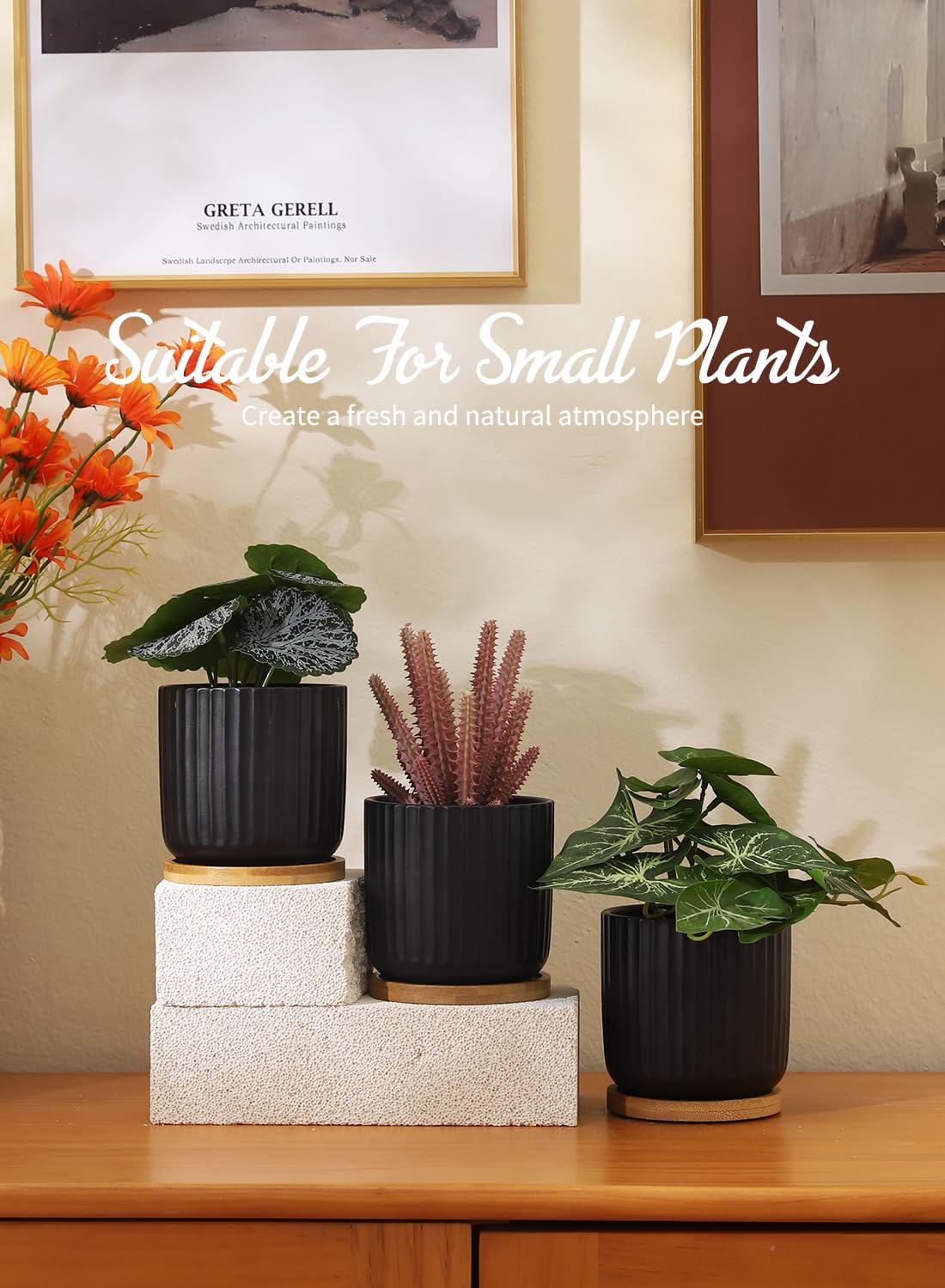 Lot de 4 petits pots de fleurs cylindriques en céramique de 10,2 cm avec trous de drainage, pots d'intérieur modernes avec soucoupe pour aloe, plantes succulentes, serpents, cactus et herbes,