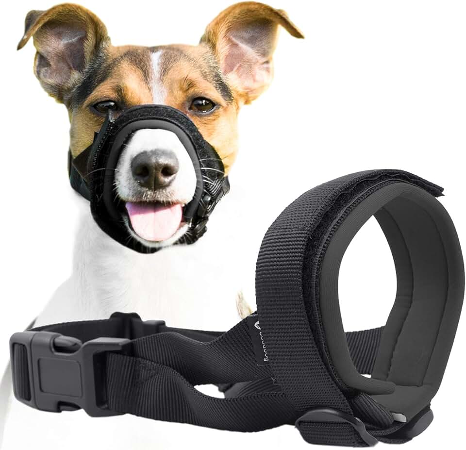 dog harness for jack russell terrier